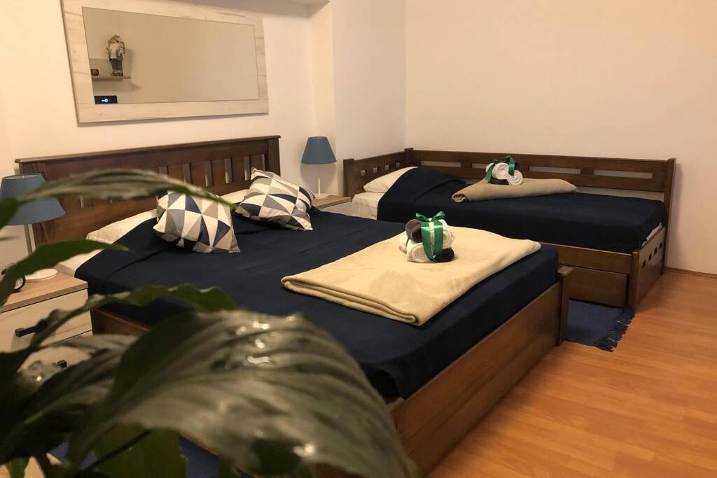 Apartments Balkanska City Center Beograd Eksteriør billede